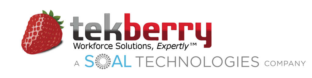 TekBerry Logo SOAL