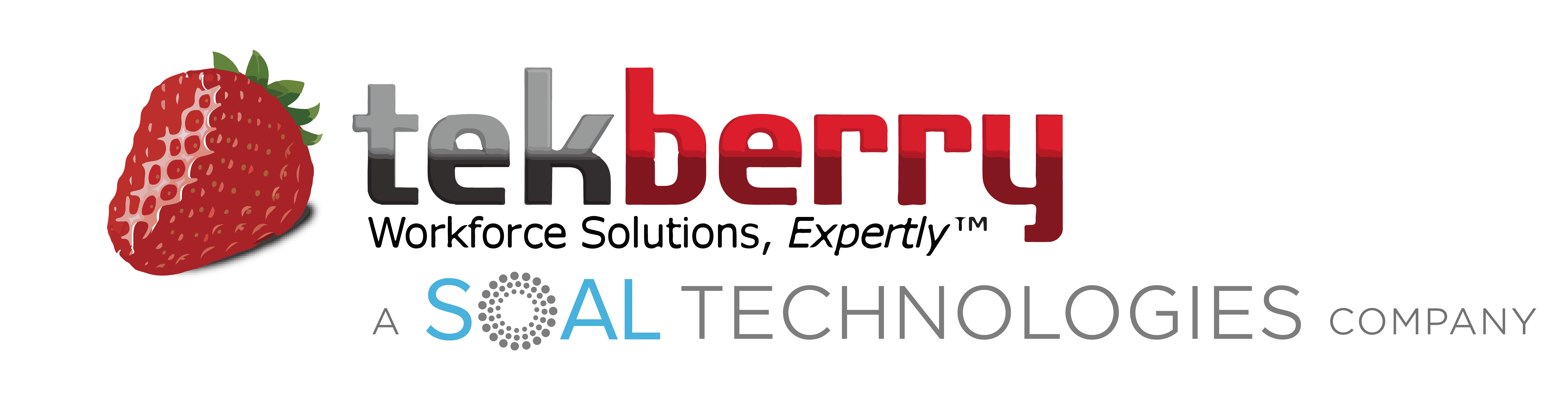 TekBerry Logo SOAL